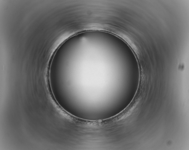 X0000097630901200803071528