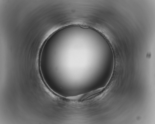 X0000097630902200803071528