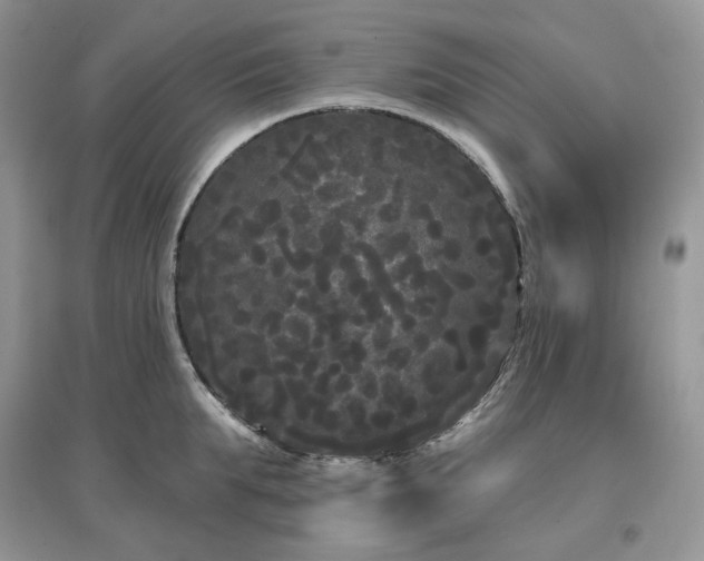 X0000097630903200803071528