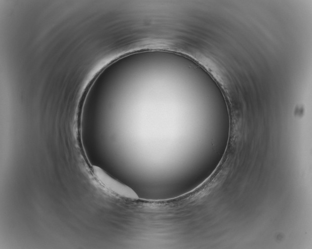 X0000097630904200803071528