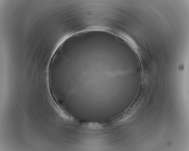 X0000097630907200803071528