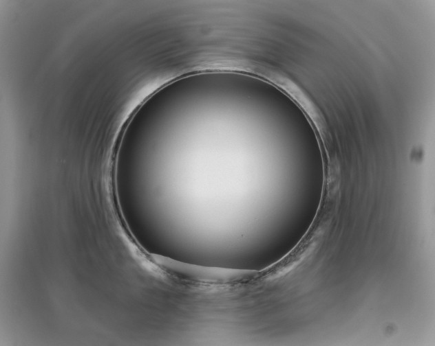 X0000097630909200803071528