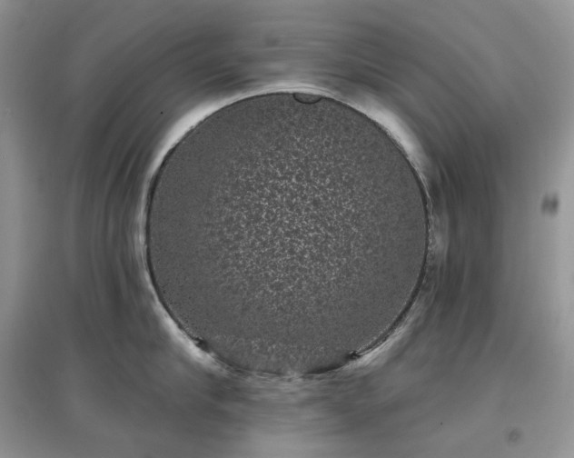 X0000097630910200803071528