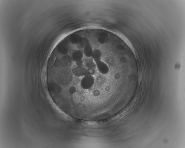 X0000097630911200803071528