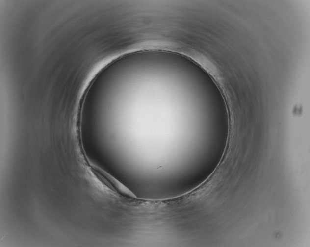 X0000097630912200803071528