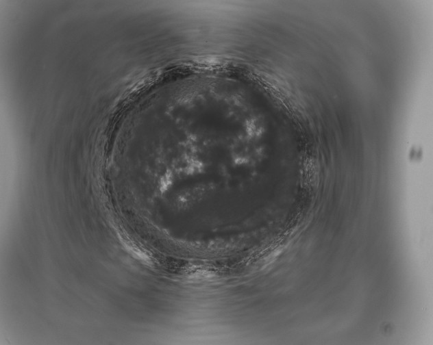 X0000097630913200803071527