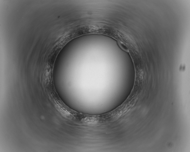 X0000097630914200803071527