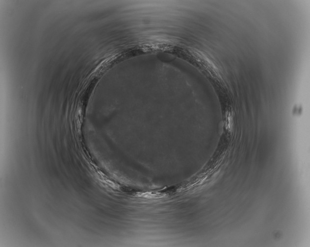 X0000097630915200803071527