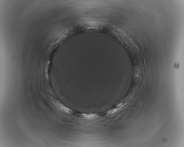 X0000097630916200803071527