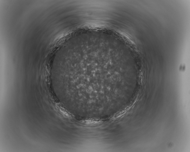 X0000097630917200803071527