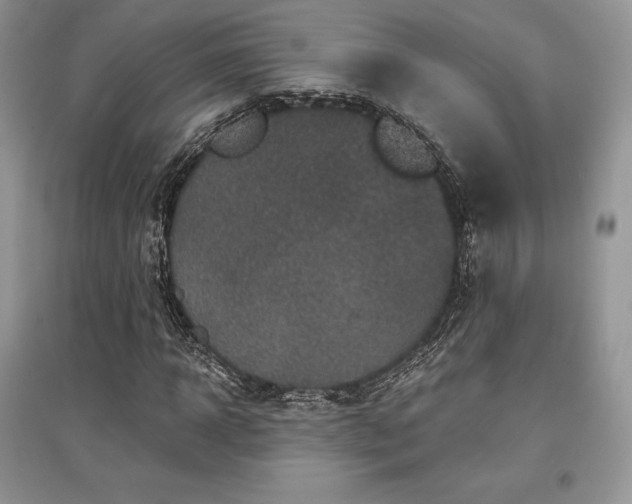 X0000097630918200803071527