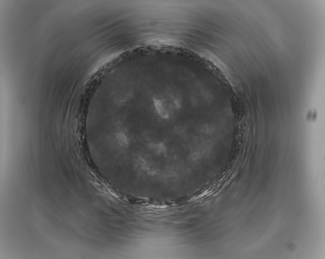 X0000097630919200803071527