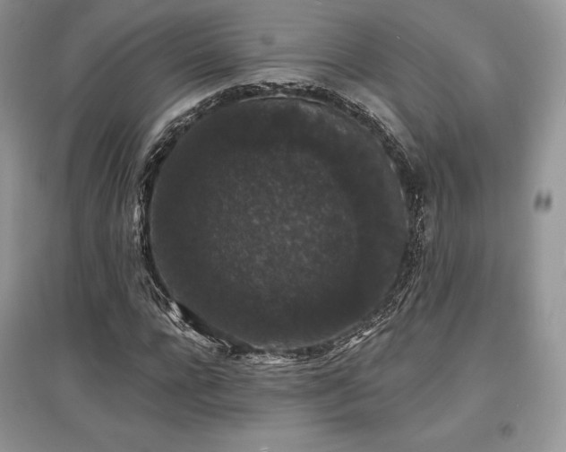 X0000097630920200803071527