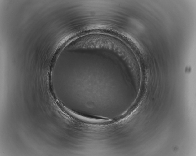 X0000097630921200803071527