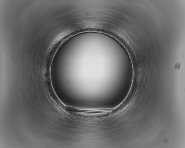 X0000097630922200803071527