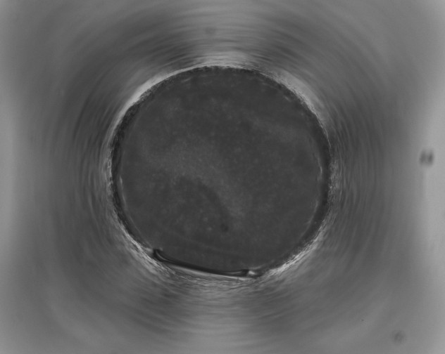 X0000097630923200803071527