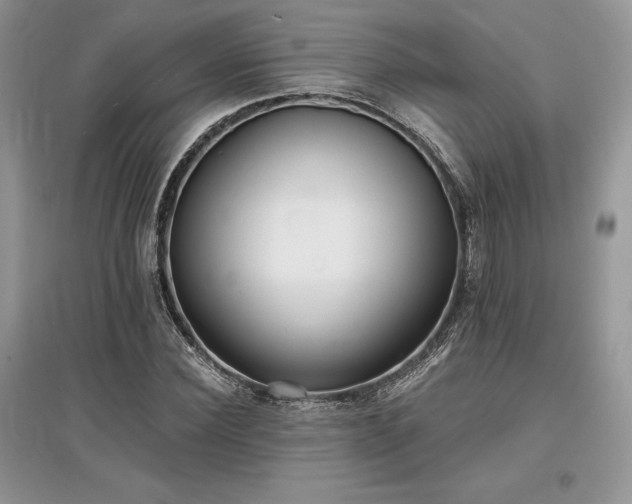 X0000097630924200803071527