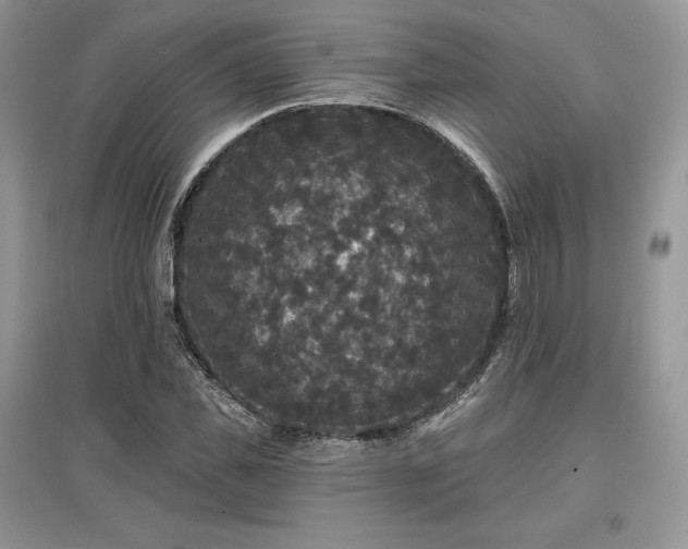 X0000097630925200803071527