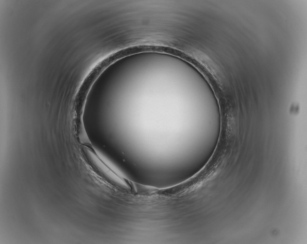 X0000097630926200803071527