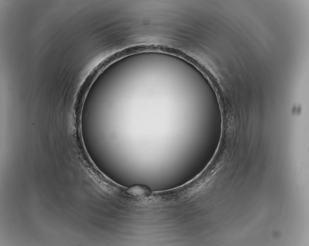 X0000097630927200803071528