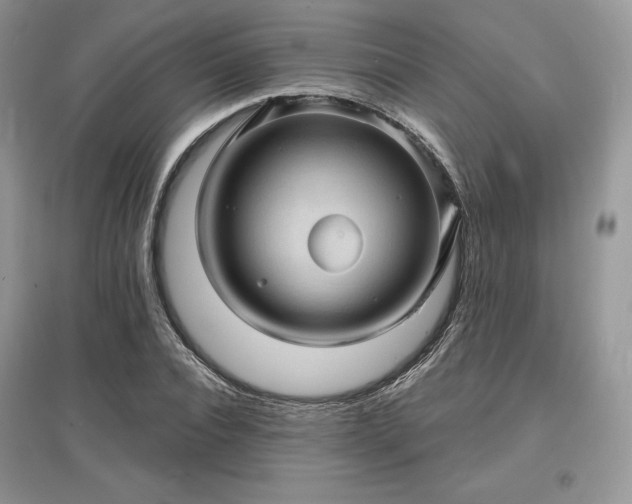 X0000097630928200803071528