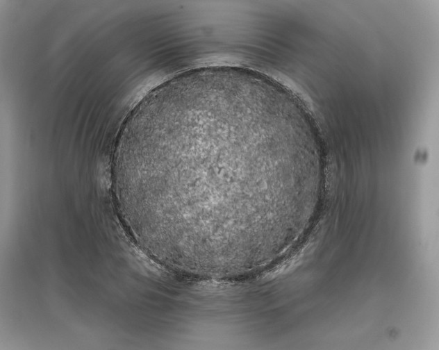 X0000097630929200803071528