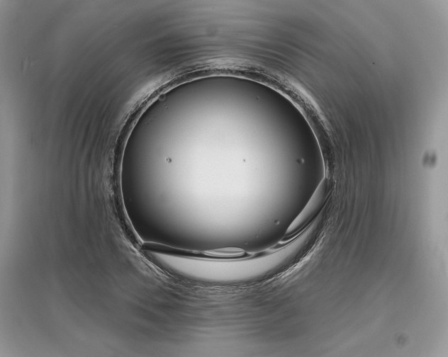 X0000097630930200803071528