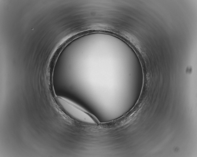 X0000097630931200803071528