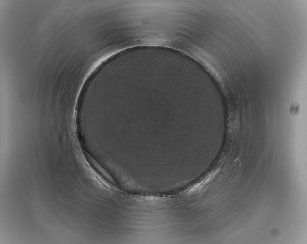 X0000097630932200803071528