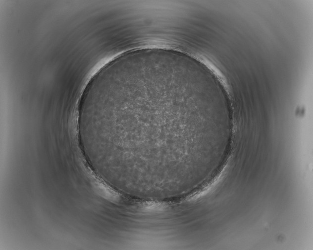 X0000097630933200803071528