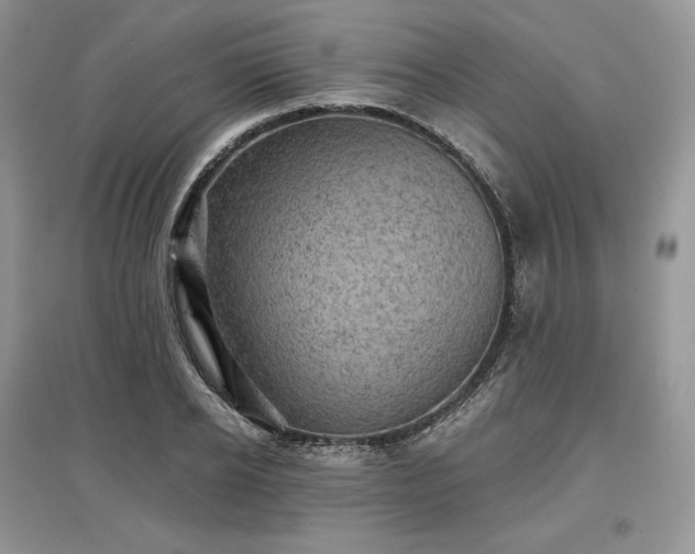 X0000097630934200803071528