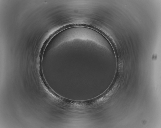 X0000097630935200803071528