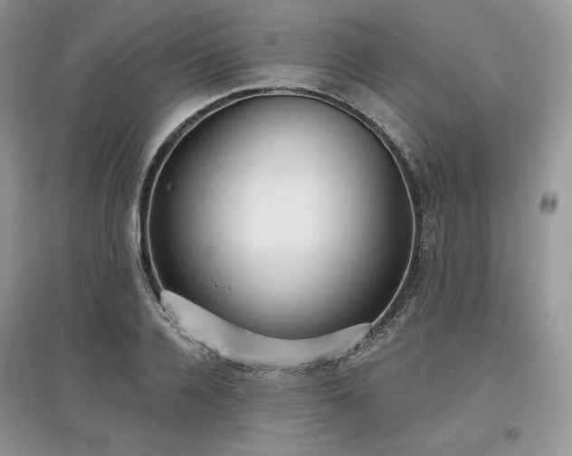 X0000097630936200803071528