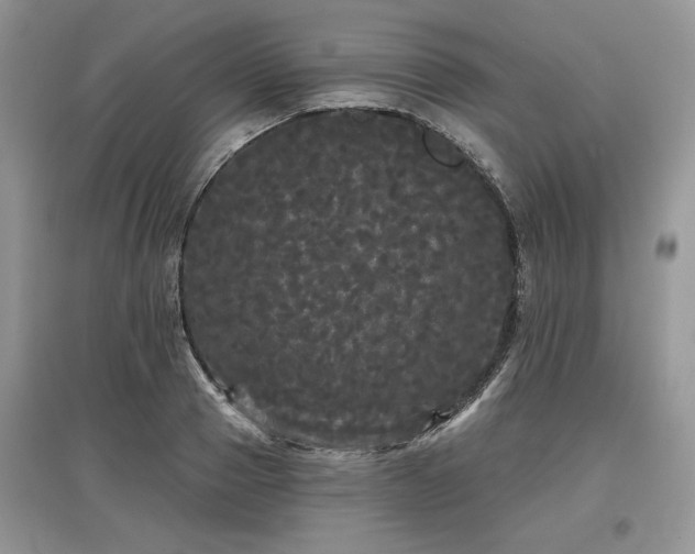 X0000097630937200803071528