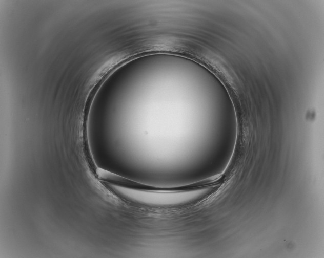 X0000097630938200803071528