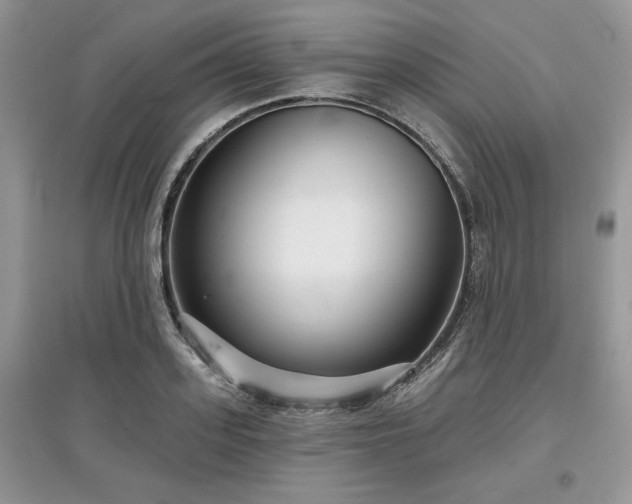 X0000097630939200803071528