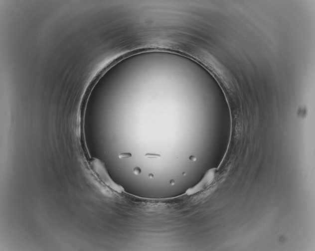 X0000097630940200803071528