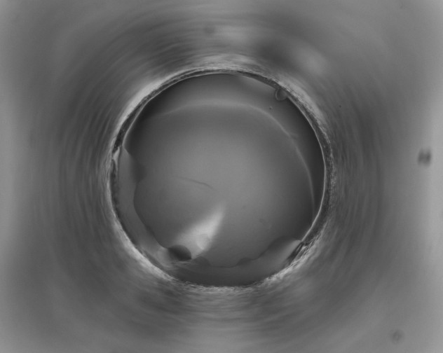 X0000097630941200803071528