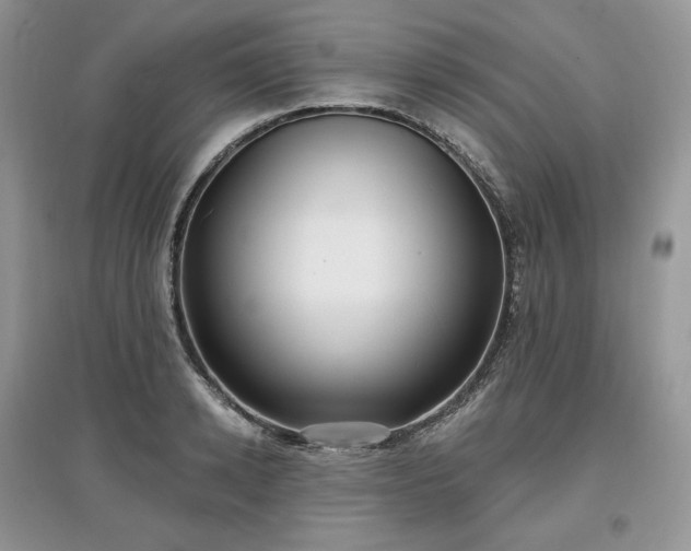 X0000097630942200803071528