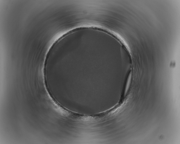 X0000097630943200803071528