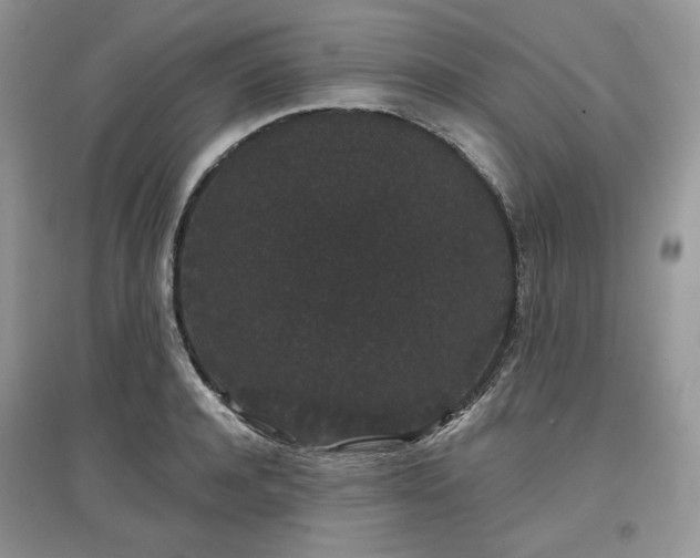 X0000097630944200803071528