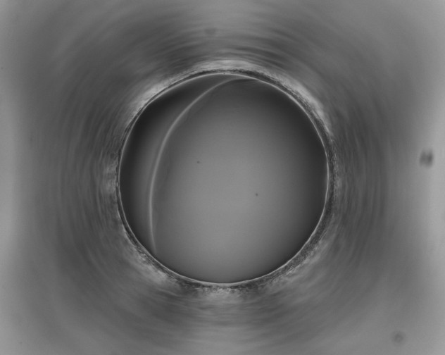 X0000097630945200803071528