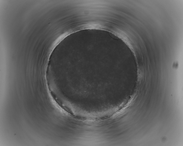 X0000097630946200803071528