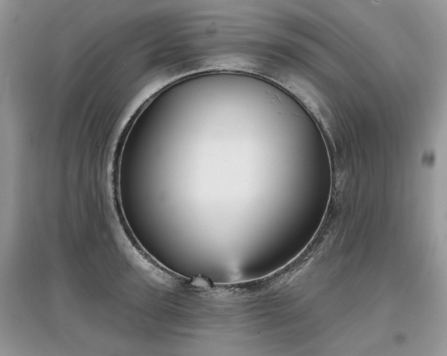 X0000097630947200803071528