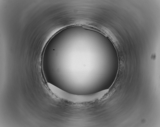 X0000097630948200803071528