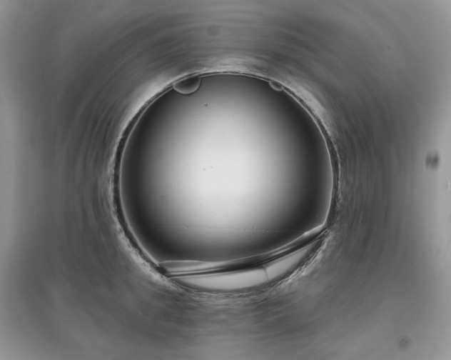 X0000097630949200803071528