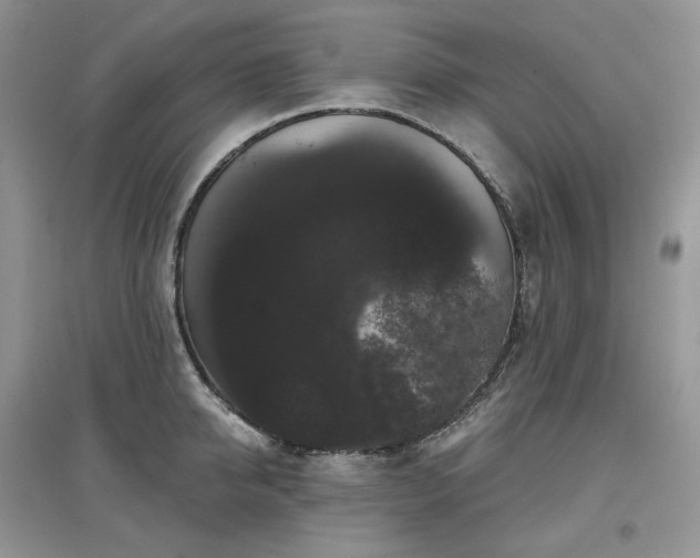 X0000097630950200803071528