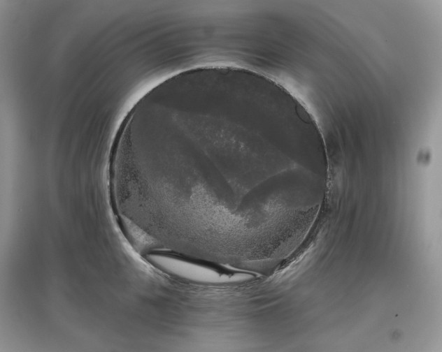 X0000097630951200803071528