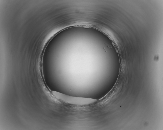 X0000097630952200803071528