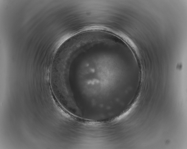 X0000097630953200803071528